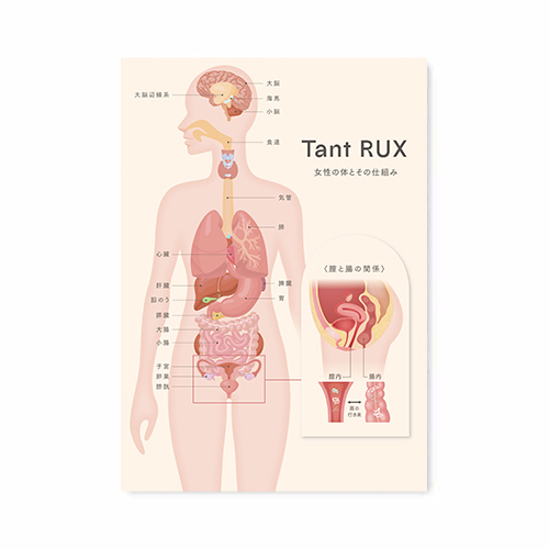 タントリュクスLABライン 女性の体とその仕組みポスター_A3