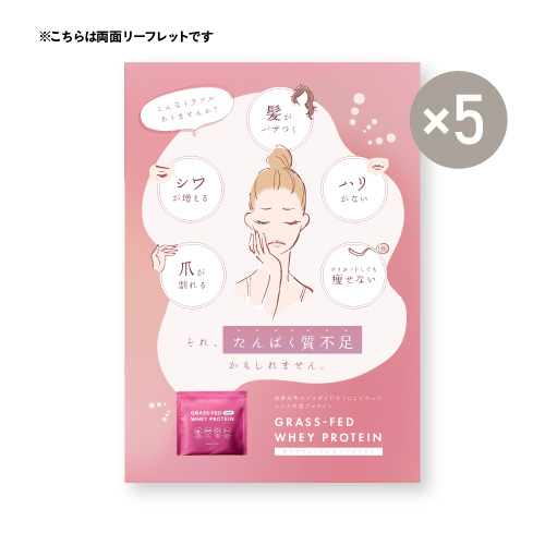 グラスフェッド ホエイプロテイン（ココア風味）パンフレット5枚セット