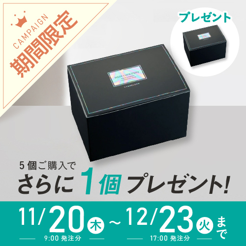 [店販用]カメレオンコルセット5+1 クリスマスキャンペーン